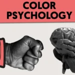 The Psychology of Colors